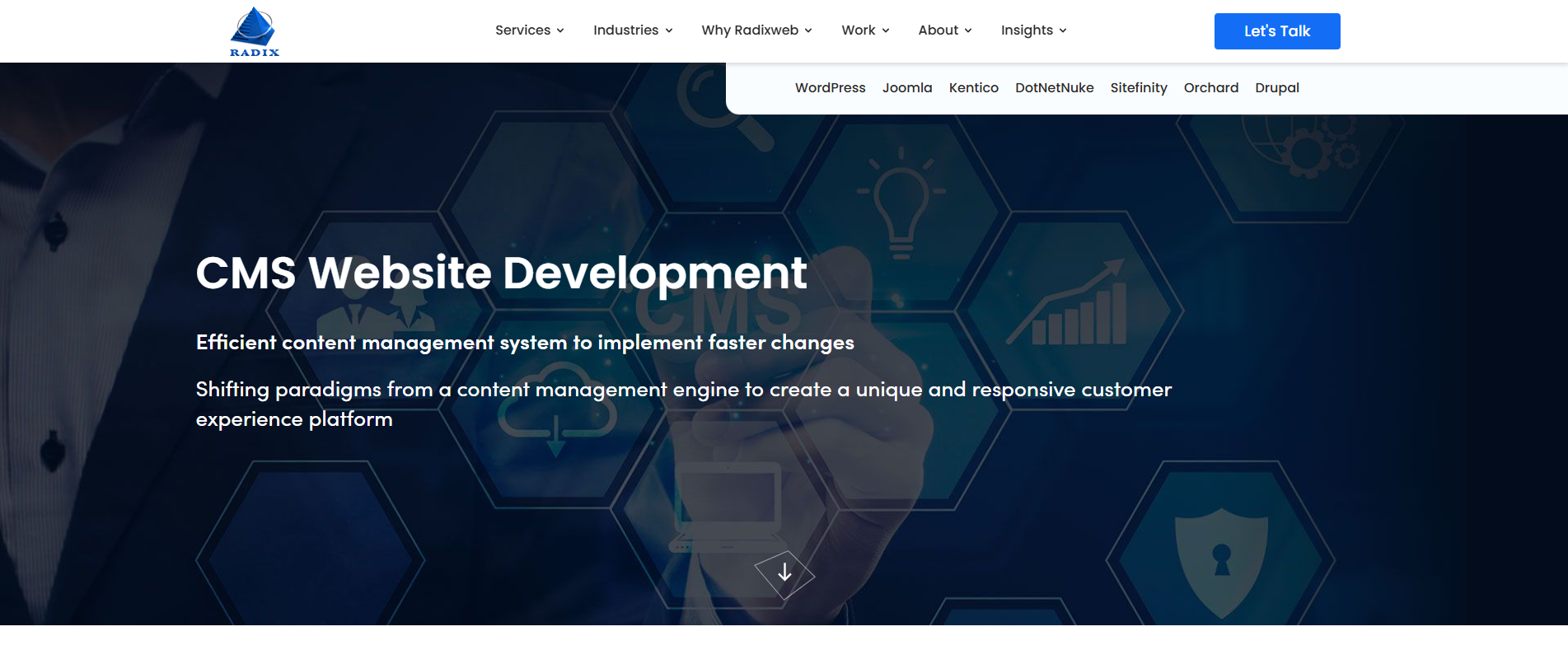 Radixweb